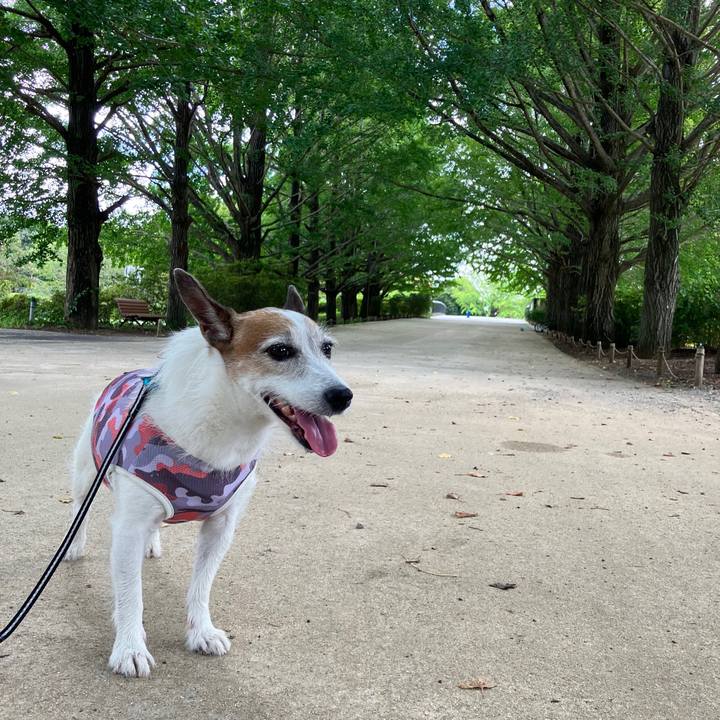 098c67d2 d234 472f aa5a e5a6ca55615d 1693102719714