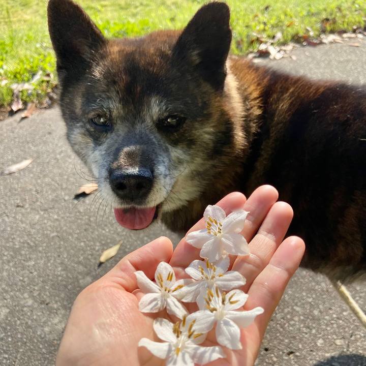 098d5503 5607 49f3 bf5f 4495d13396eb 1654127217009