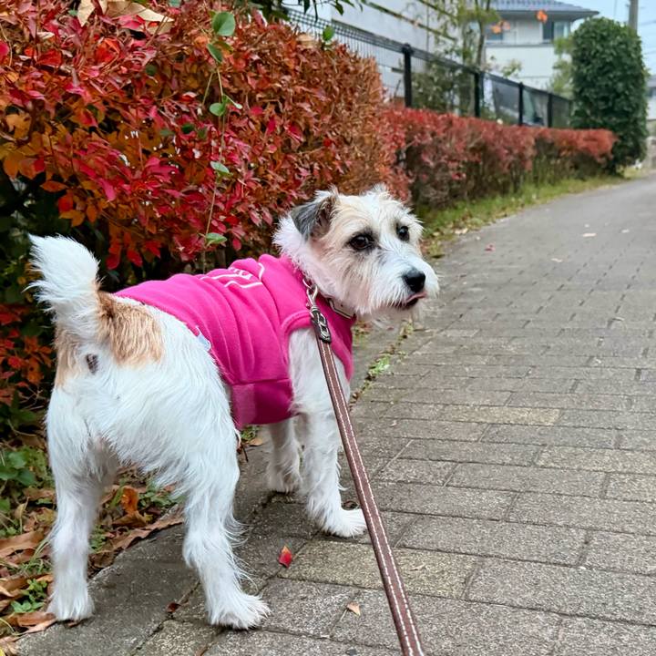 098db246 8a72 4f2f aaa6 b1aeb266fe13 1764751152191