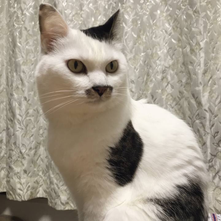 098e0b0e 4f21 48e1 8810 46154cb26e7d 1546745862434