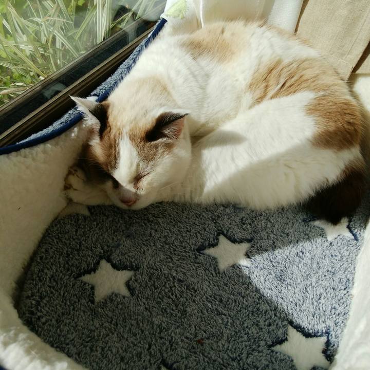 098e1582 15ff 4917 9fb0 7ba6457fc2b1 1512873067791