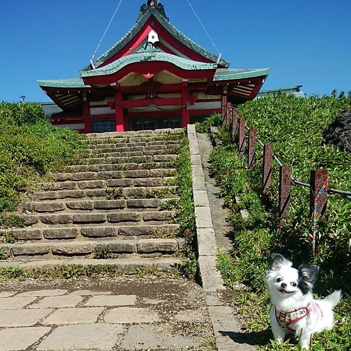 098e2986 5826 4c34 94b2 24ca426b24ce 1569069281790