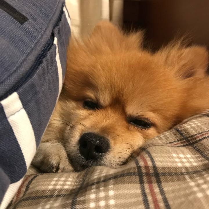 098e57f6 7ea0 4045 9d7f 29318e19a7bb 1542766757881