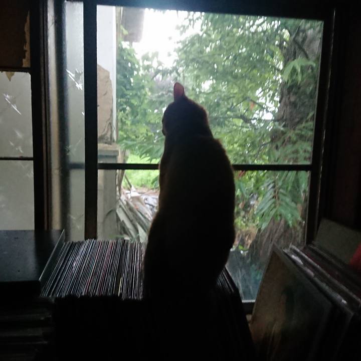 098e8581 11f2 48c9 9260 01d76c713f23 1660426381089