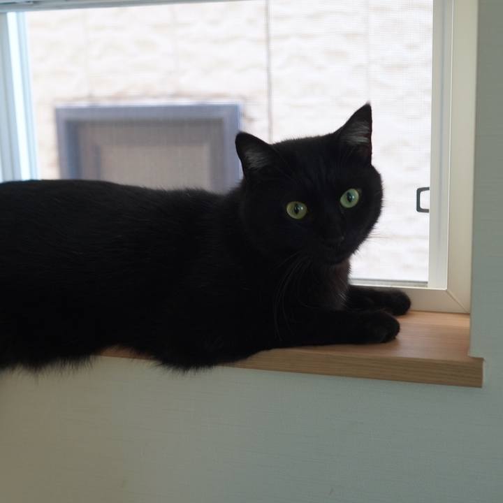 098ea1f5 309b 4e30 934b c154e75d2163 1599660589963