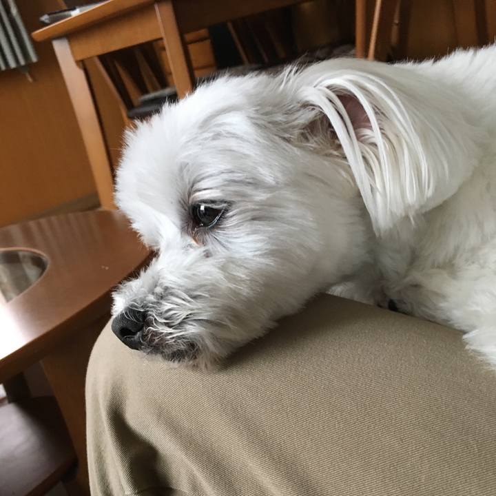 098ec024 c6e0 45f7 9249 d3165f045752 1591858186505