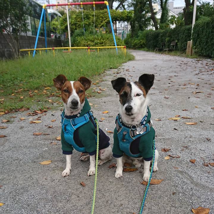 098ed120 93f1 4231 a9b8 bf46f68771eb 1602807468908