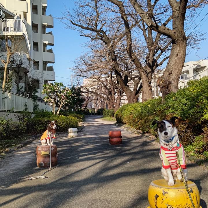 098f035c 502a 4229 98b7 f56e9fee1602 1678834380026