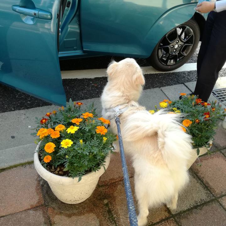 098f13a1 eb33 489e ad4c b914fa80e7d6 1529573972182