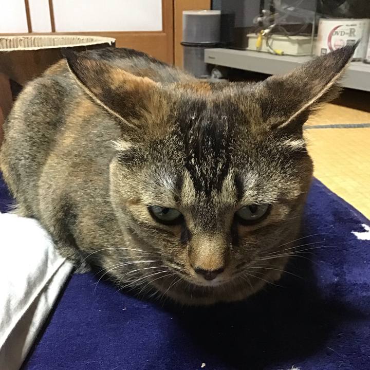 098f1aa9 bc99 413e 9030 bf619b1039d5 1715341271021