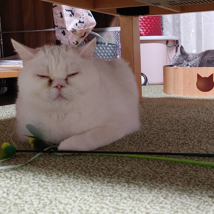 098f2f73 8e27 4030 a867 c89bb06eb124 1643454300789