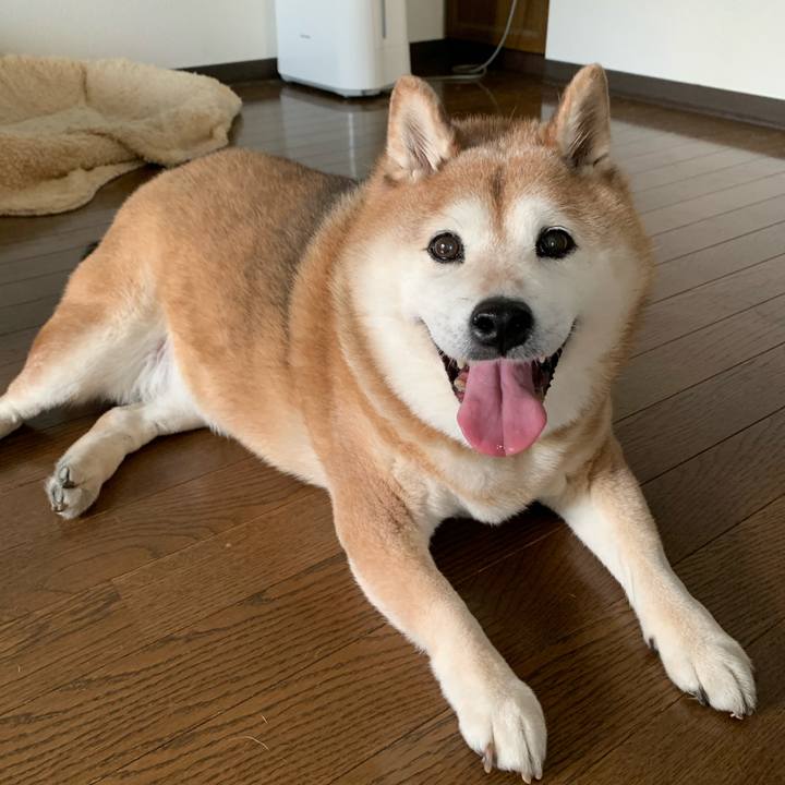 098f7516 a181 4f42 b174 f10c2f0a2bfa 1589368793463