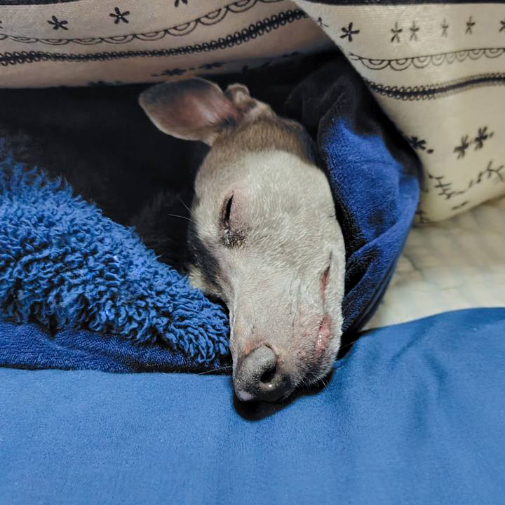 098f775b 258d 401e 8e1b 2e1716dd7d2d 1759144109753