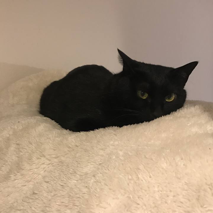 098f8320 7036 46f7 acbd fa6283285f84 1521368451812