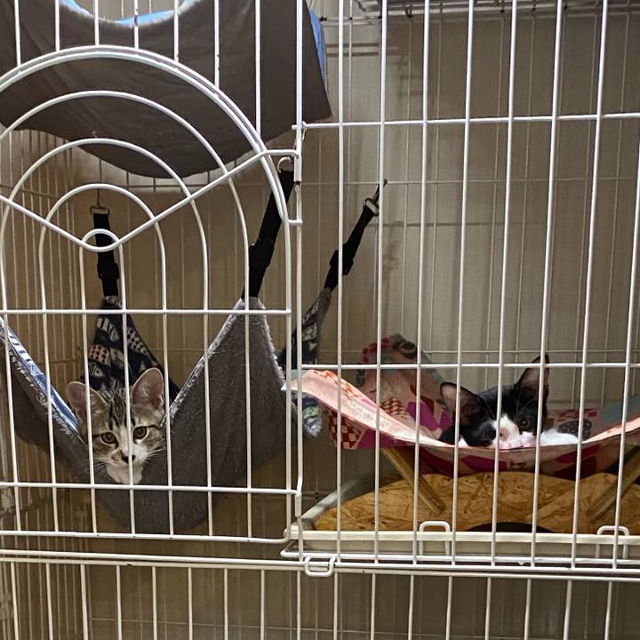 098f900b 87c2 4167 a507 1ba1dae10d29 1627785331631