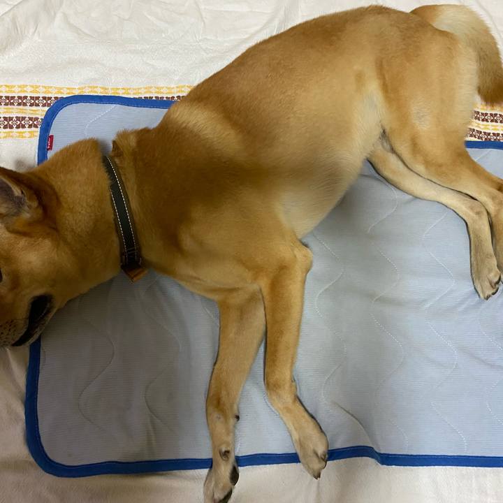 098fb0cf f6e4 446b be9e 8144bdbcc298 1658403349188