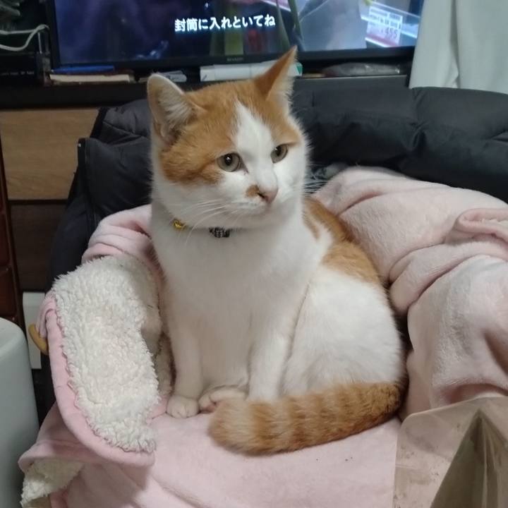 098fb532 2214 4365 8d61 bbdb7f1dd6e0 1766793026401