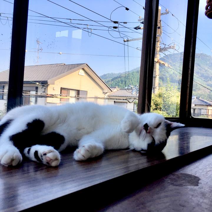 098fdad2 8150 4a69 83ff 377da4115a86 1531956230285