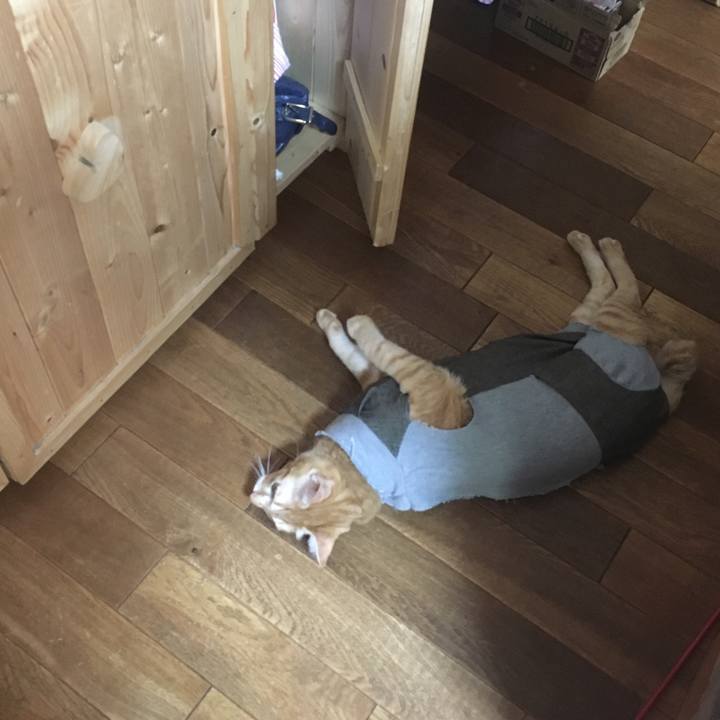 098fe139 c20b 4f39 86a8 3b1e9096164f 1537327787340