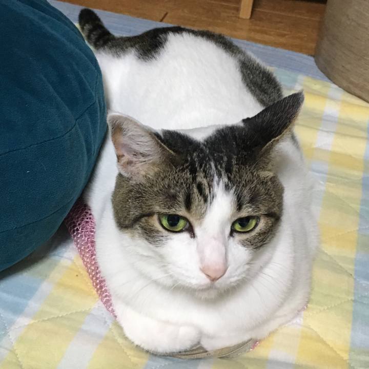 099028f7 d00e 4eb0 9238 bcdea67b8cea 1533307448972