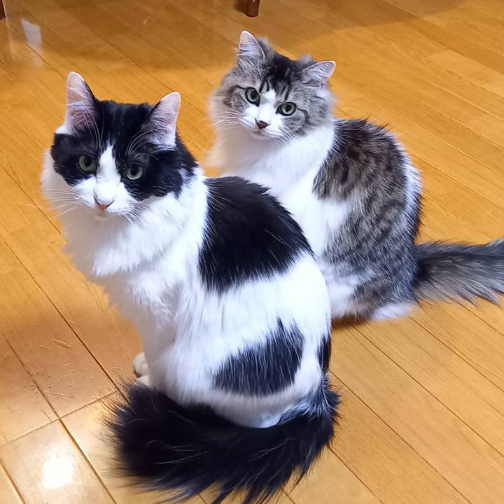 09909768 9901 43cf 872e 3924cb95bb44 1646043504434