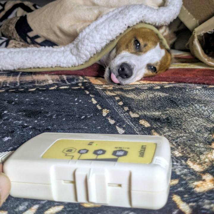 0990d511 4ad6 4180 a4c5 bef706919e86 1766721997506