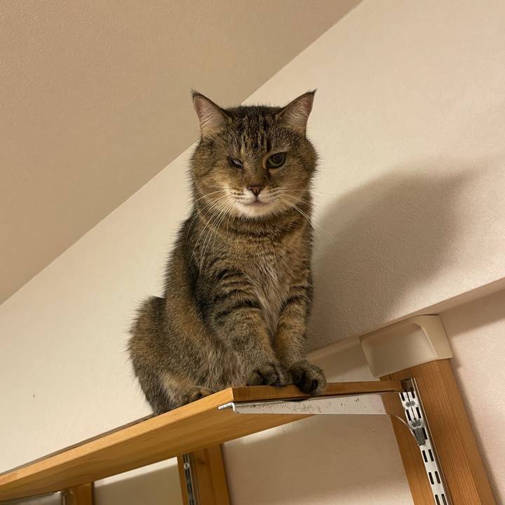 0990e92f 5406 403e 9cda dac80714239c 1755697322274