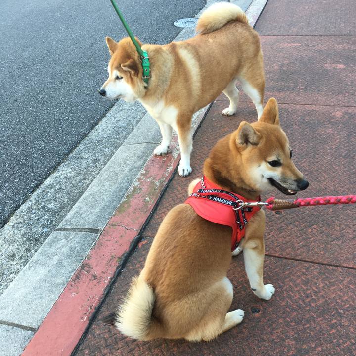 0990fa92 4122 4f1e 8501 baf3cb91ff06 1641275067876