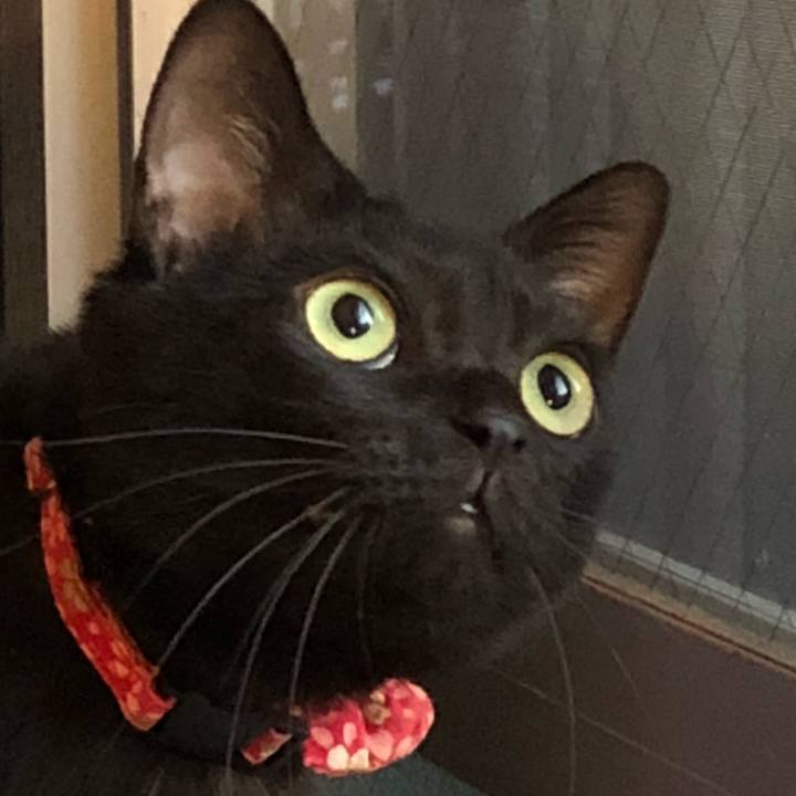 09914cb3 2f49 4901 8ea3 1c47acc257a7 1513633969900