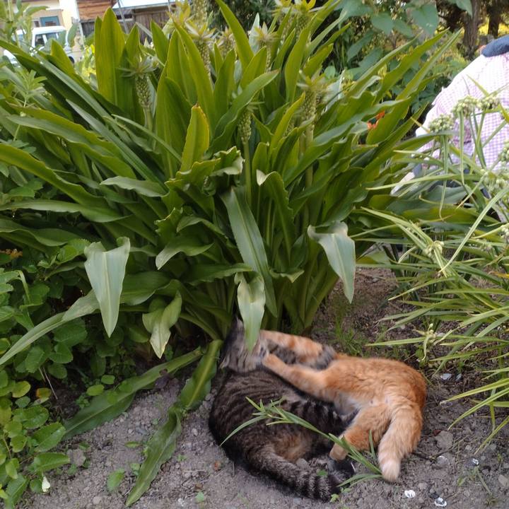 09916a73 2a3b 477c 965f ec9fe9312fe3 1690108415194