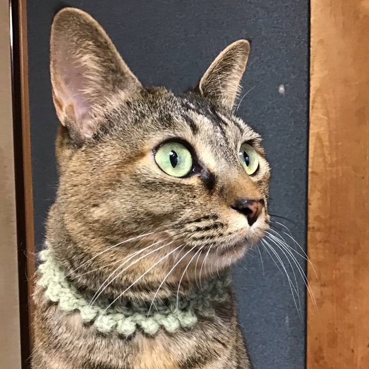 09918b59 01d3 4193 a962 6061c9bc3161 1641249152764