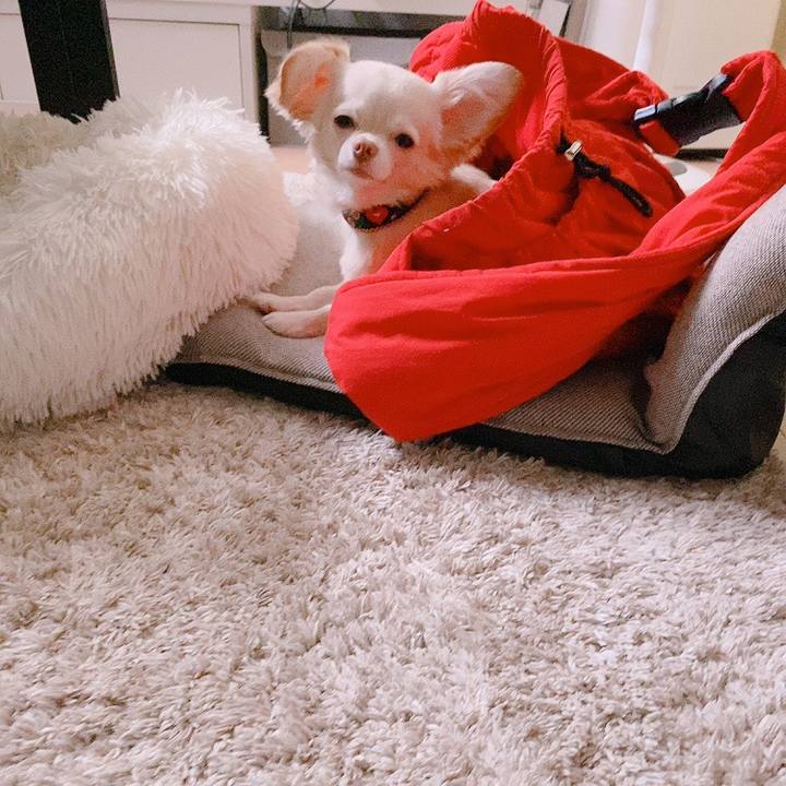 09919f45 030e 4758 ac2c 200ad423f365 1629065663445