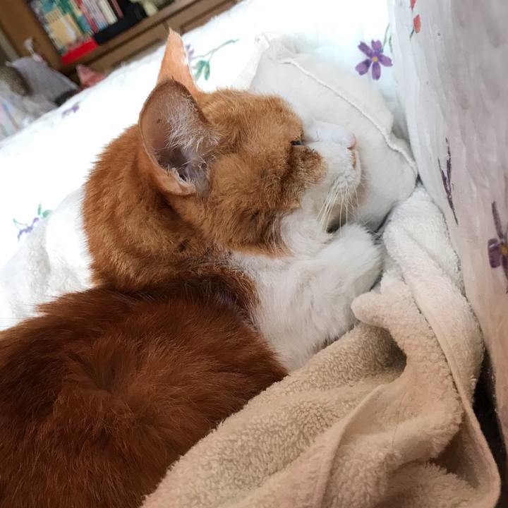 0991a3ee 27a2 4668 99aa 0a750d6b79da 1626938289532