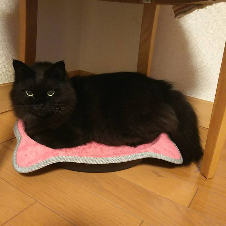 0991bee6 d033 48ca bfc7 27c356744e71 1525433405067