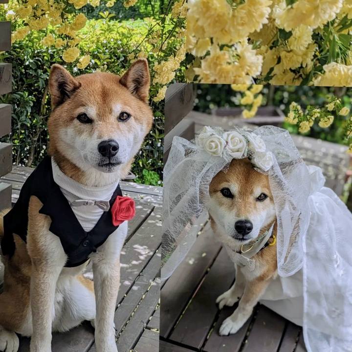 0991c743 9421 4869 9f51 b8728f57d159 1714131387826