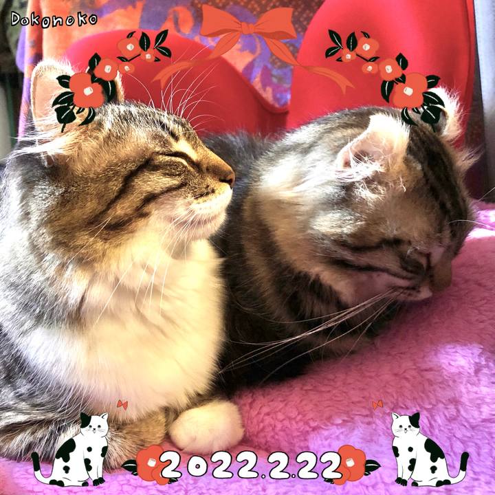 0991f7b4 36be 430f 8cc2 1b67c379d0db 1645523486812