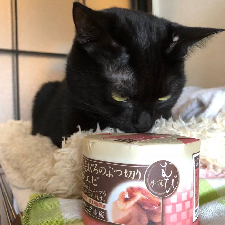 099205b3 f660 49be 9364 97d6bf1a087c 1540697935204