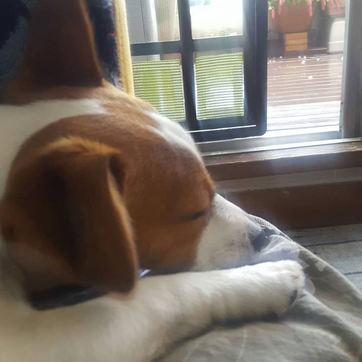 09920b9d 61cf 4551 abf5 886ec9ad5845 1563238960822