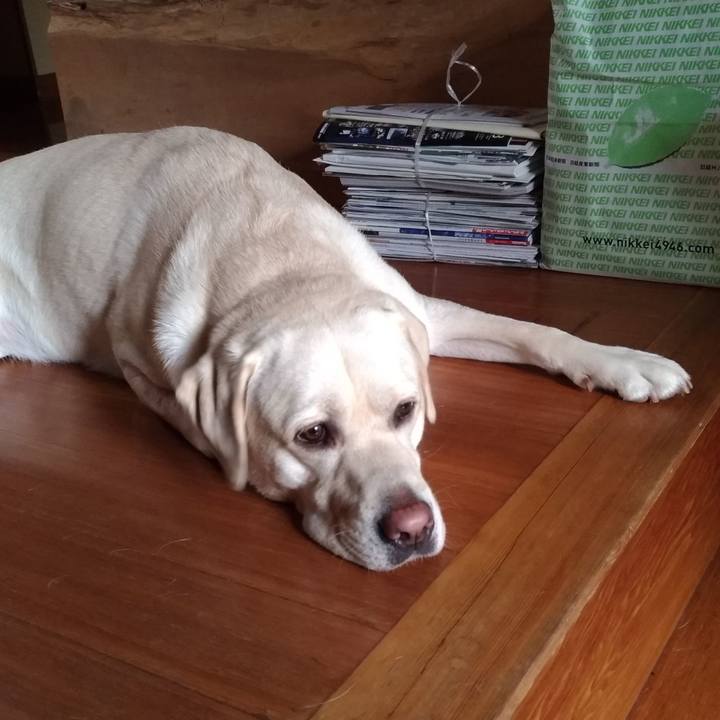 09921182 9eb5 4085 88f8 326b5e23aeb8 1536596649163