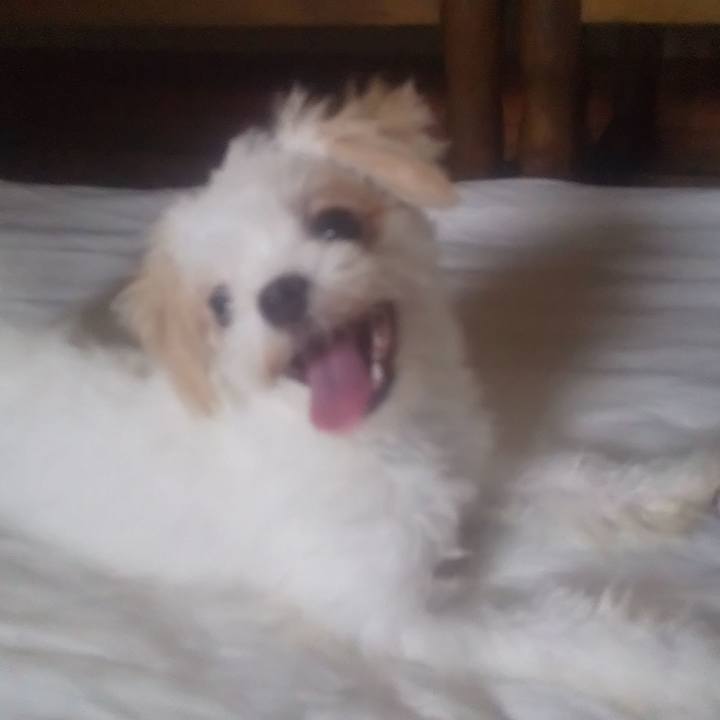 099211ca d01e 4364 af7a 10ce9abb1715 1692177725762