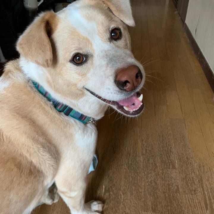 09921c5e cfb2 4745 9db4 24e43f44a7a1 1560351495985