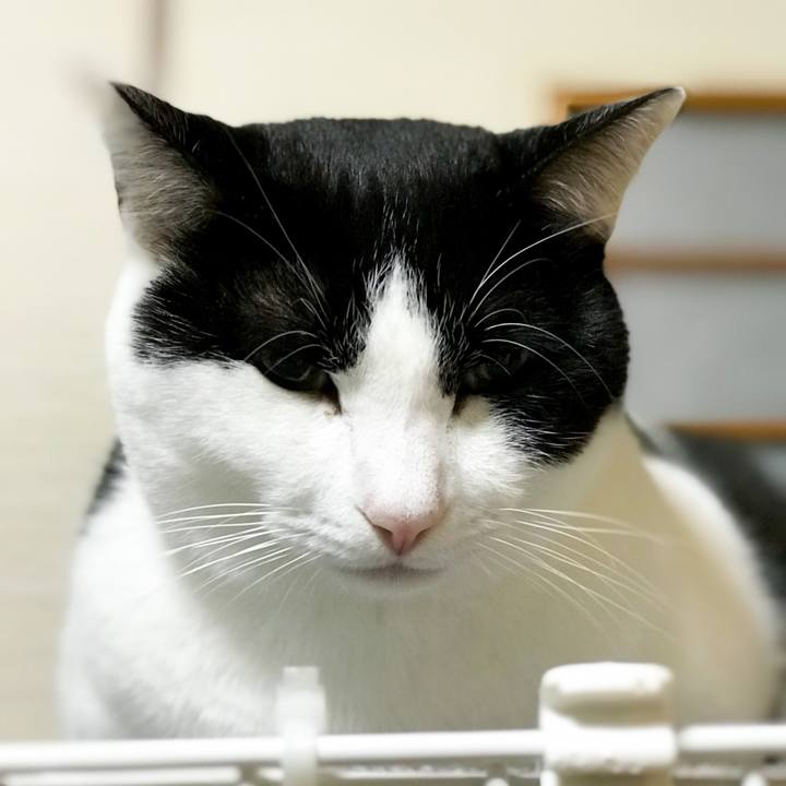 09921e74 30e6 42ba a3eb 96dae3a1811a 1512695952966