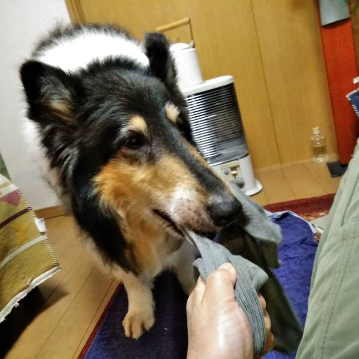 0992295e 5148 4408 b18b c69e95c3f428 1560341132062