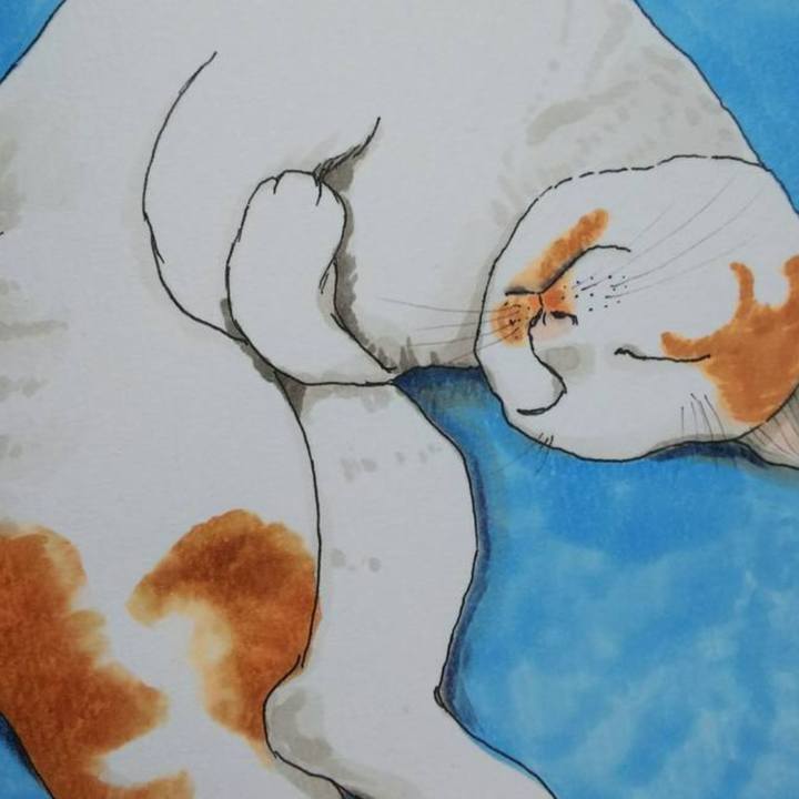 09928102 75c6 439f a997 3c9024d1f2be 1553171550529