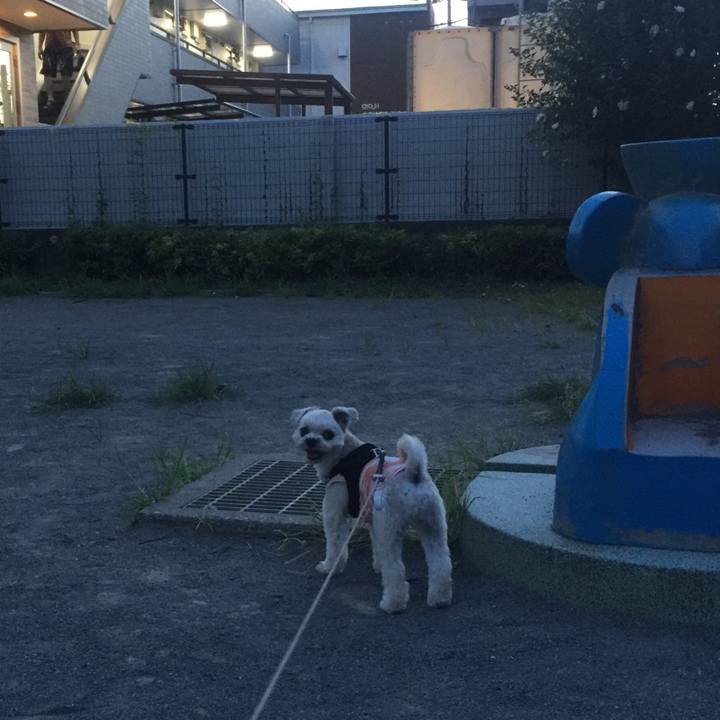 09929779 3a2c 457f ae4e 2b6d8c2ebd79 1534935748184