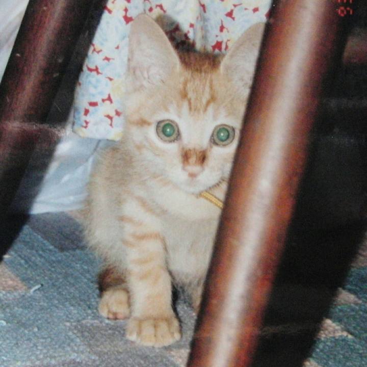 0992a149 7e3e 44b6 8bcf d66002918c10 1535510562610