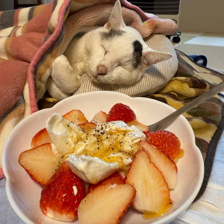 0992cf5f 514d 487d 8c91 38c208e0d84b 1770518309876