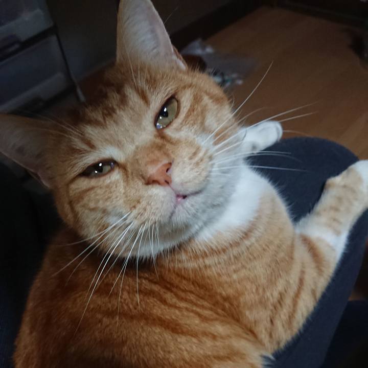 0992ec12 b716 4dbf 94b3 23d5a99f3d26 1608023481125