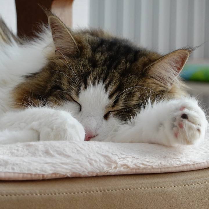 0992ecb9 ed3b 4d43 8055 88f90421b5c9 1590297299502