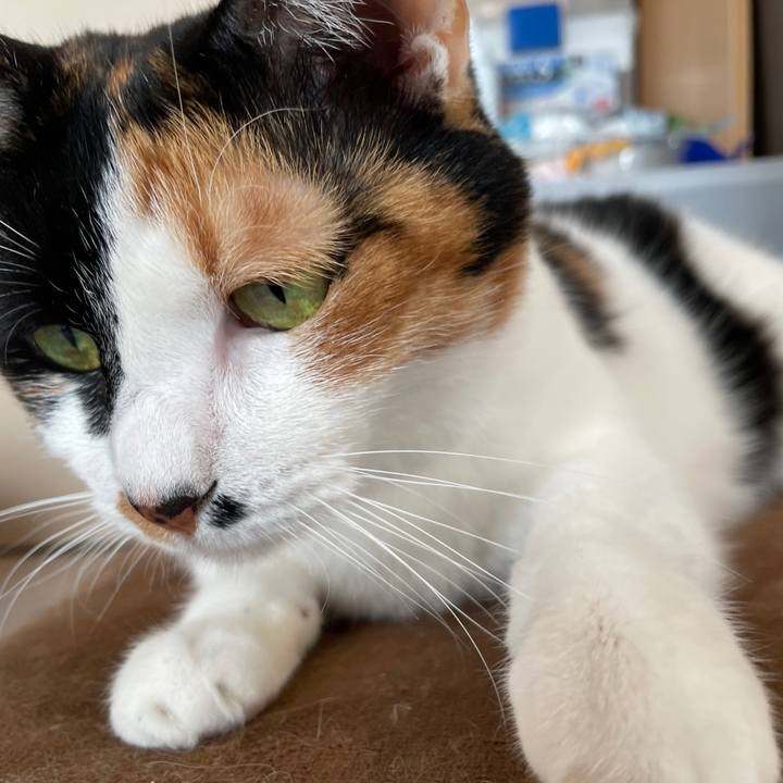 0992fae7 276e 4d79 958d 50be942cab5b 1735635559501